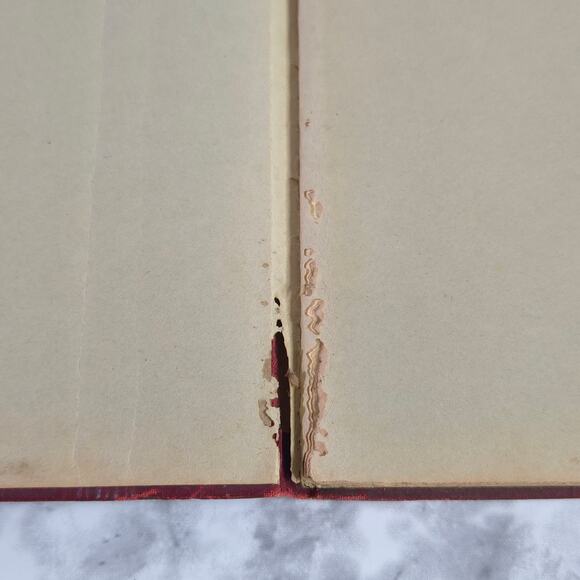 Photocharts Theory & Practice Of Exposure by Hamilton Allport 1938 - Picture 3 of 16